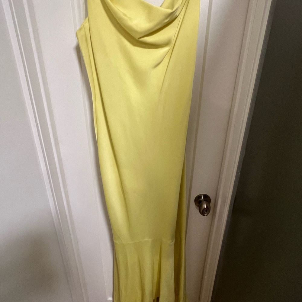 Liv Foster Sleeveless Satin Gown (Size 10) - Picture 9 of 12